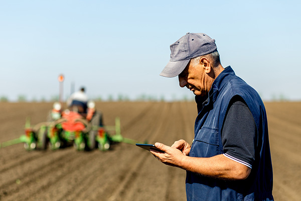 agriculture_fieldintell